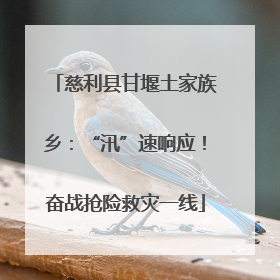 慈利县甘堰土家族乡：“汛”速响应！奋战抢险救灾一线