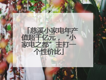 慈溪小家电年产值超千亿元，“小家电之都”主打一个性价比