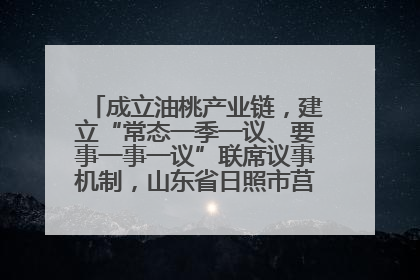 成立油桃产业链，建立“常态一季一议、要事一事一议”联席议事机制，山东省日照市莒县果庄镇——13个党小组“全周期”育果