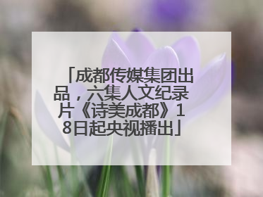 成都传媒集团出品，六集人文纪录片《诗美成都》18日起央视播出