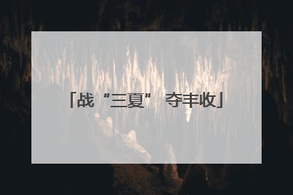 战“三夏” 夺丰收