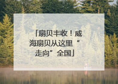 扇贝丰收！威海扇贝从这里“走向”全国