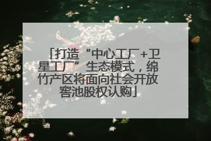 打造“中心工厂+卫星工厂”生态模式，绵竹产区将面向社会开放窖池股权认购