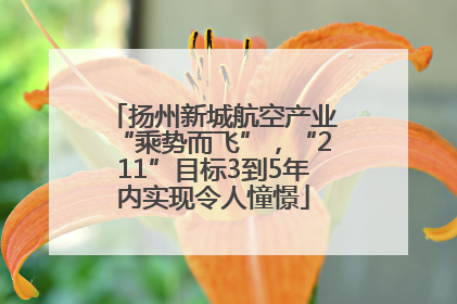 扬州新城航空产业“乘势而飞”，“211”目标3到5年内实现令人憧憬