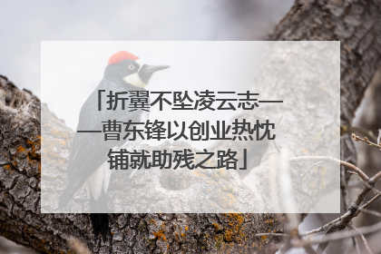 折翼不坠凌云志——曹东锋以创业热忱铺就助残之路
