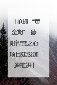 抢抓“黄金期” 德阳智慧之心项目建设加速推进