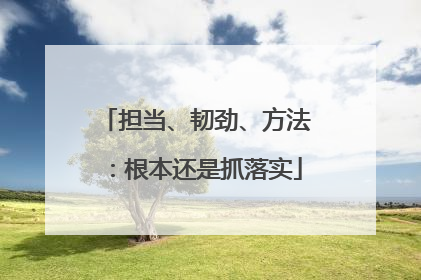 担当、韧劲、方法：根本还是抓落实