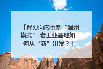 挥刃向内重塑“温州模式” 老工业基地如何从“新”出发？