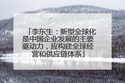 李东生：新型全球化是中国企业发展的主要驱动力，应构建全球经营和供应链体系