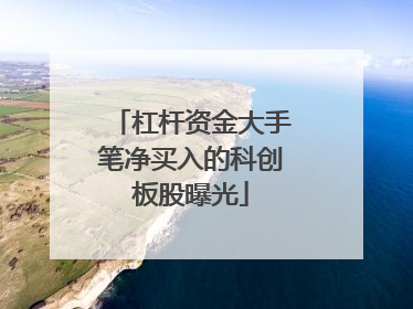 杠杆资金大手笔净买入的科创板股曝光