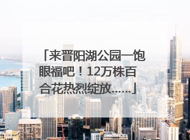 来晋阳湖公园一饱眼福吧！12万株百合花热烈绽放……