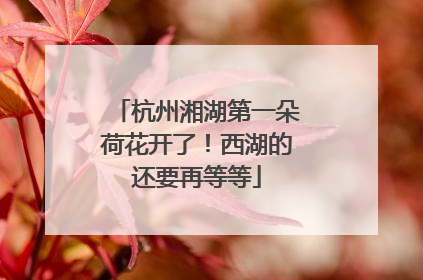 杭州湘湖第一朵荷花开了！西湖的还要再等等