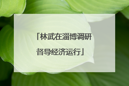 林武在淄博调研督导经济运行