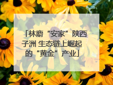 林麝“安家”陕西子洲 生态链上崛起的“黄金”产业