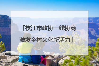 枝江市政协一线协商激发乡村文化新活力