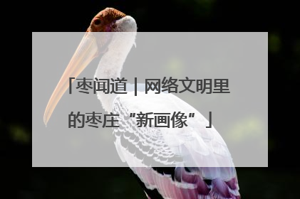 枣闻道｜网络文明里的枣庄“新画像”
