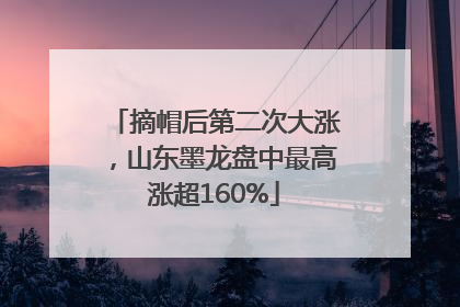 摘帽后第二次大涨，山东墨龙盘中最高涨超160%