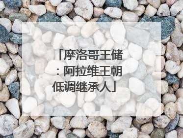 摩洛哥王储：阿拉维王朝低调继承人