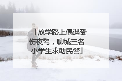 放学路上偶遇受伤夜鹭，聊城三名小学生求助民警