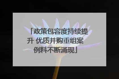 政策包容度持续提升 优质并购重组案例料不断涌现