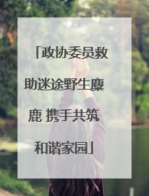 政协委员救助迷途野生麋鹿 携手共筑和谐家园