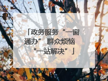 政务服务“一窗通办” 群众烦恼“一站解决”