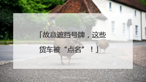 故意遮挡号牌，这些货车被“点名”！