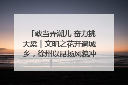 敢当弄潮儿 奋力挑大梁｜文明之花开遍城乡，徐州以昂扬风貌冲刺“万亿之城”