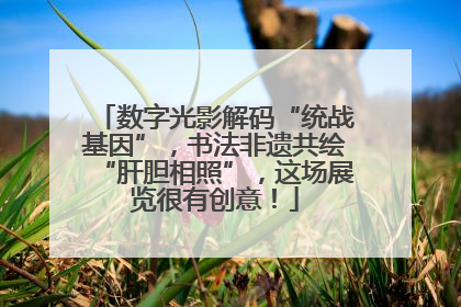 数字光影解码“统战基因”，书法非遗共绘“肝胆相照”，这场展览很有创意！