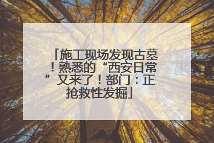 施工现场发现古墓！熟悉的“西安日常”又来了！部门：正抢救性发掘