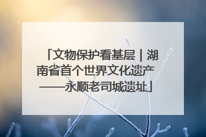 文物保护看基层｜湖南省首个世界文化遗产——永顺老司城遗址