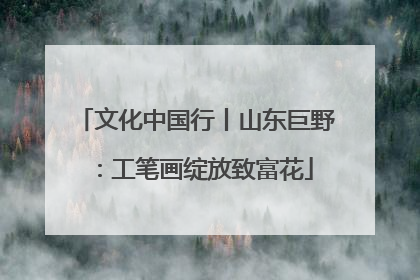 文化中国行丨山东巨野：工笔画绽放致富花
