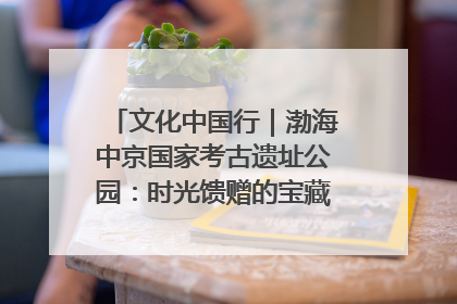 文化中国行｜渤海中京国家考古遗址公园：时光馈赠的宝藏 历史凝固的诗篇