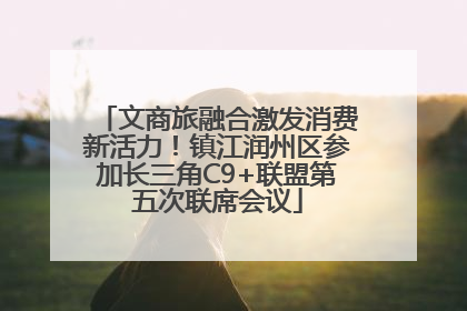 文商旅融合激发消费新活力！镇江润州区参加长三角C9+联盟第五次联席会议