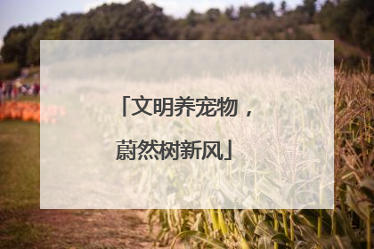 文明养宠物，蔚然树新风