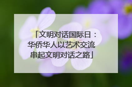 文明对话国际日：华侨华人以艺术交流串起文明对话之路