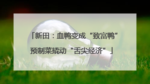 新田：血鸭变成“致富鸭” 预制菜撬动“舌尖经济”