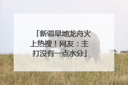 新疆旱地龙舟火上热搜！网友：主打没有一点水分