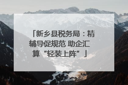 新乡县税务局：精辅导促规范 助企汇算“轻装上阵”