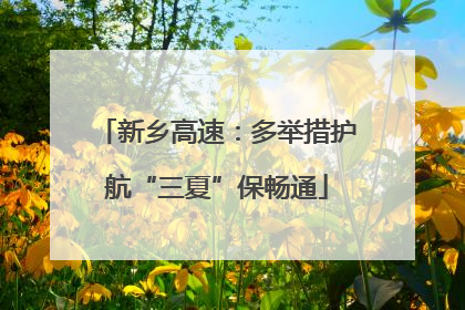新乡高速：多举措护航“三夏”保畅通