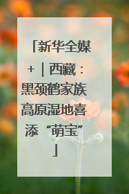 新华全媒+｜西藏：黑颈鹤家族高原湿地喜添“萌宝”