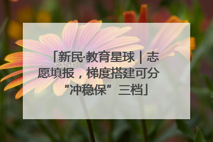 新民·教育星球｜志愿填报，梯度搭建可分“冲稳保”三档