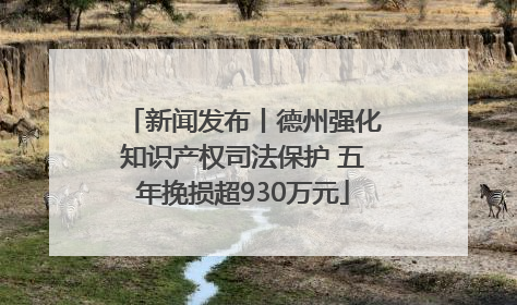 新闻发布丨德州强化知识产权司法保护 五年挽损超930万元