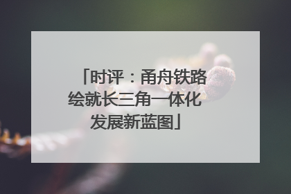 时评：甬舟铁路绘就长三角一体化发展新蓝图