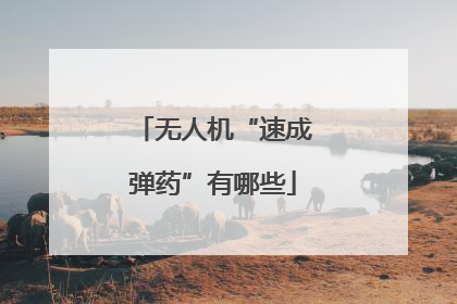 无人机“速成弹药”有哪些