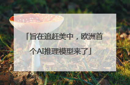 旨在追赶美中，欧洲首个AI推理模型来了
