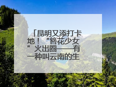 昆明又添打卡地！“簪花少女”火出圈——有一种叫云南的生活之365天