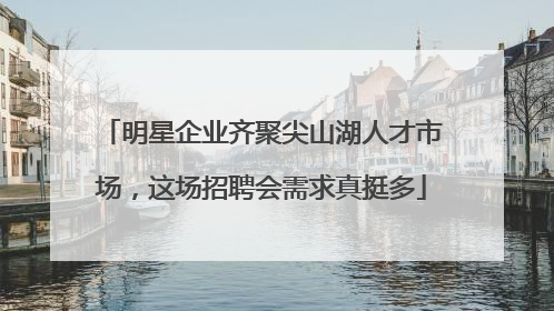 明星企业齐聚尖山湖人才市场，这场招聘会需求真挺多