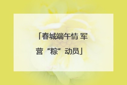 春城端午情 军营“粽”动员
