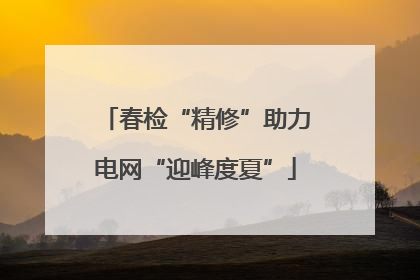 春检“精修”助力电网“迎峰度夏”